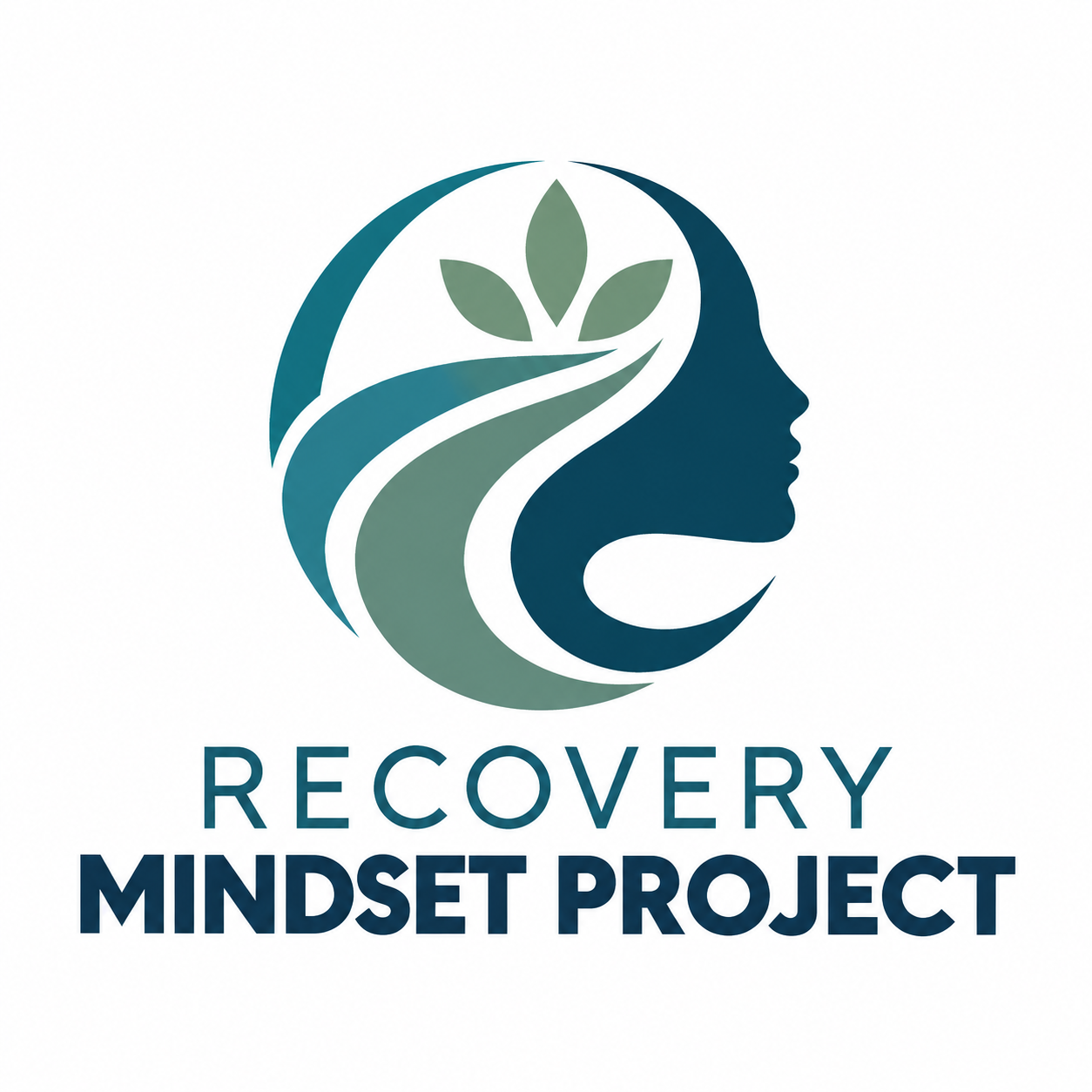 recoverymindsetproject.com